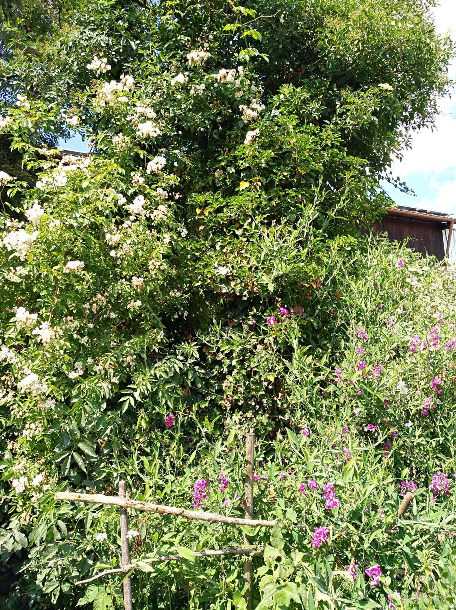 Landhaus Fohlenhof Mehrstetten Exteriör bild